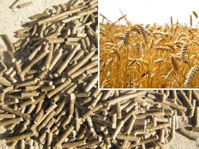 How to Launch Your Agricultural Waste Pellet Business