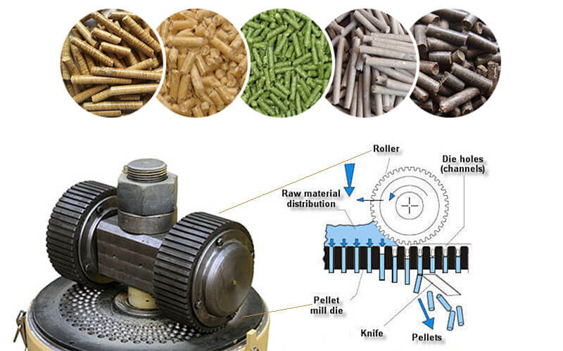 Why Huaxin Machinery Is the Best Choice for Biomass Pellet Entrepreneurs