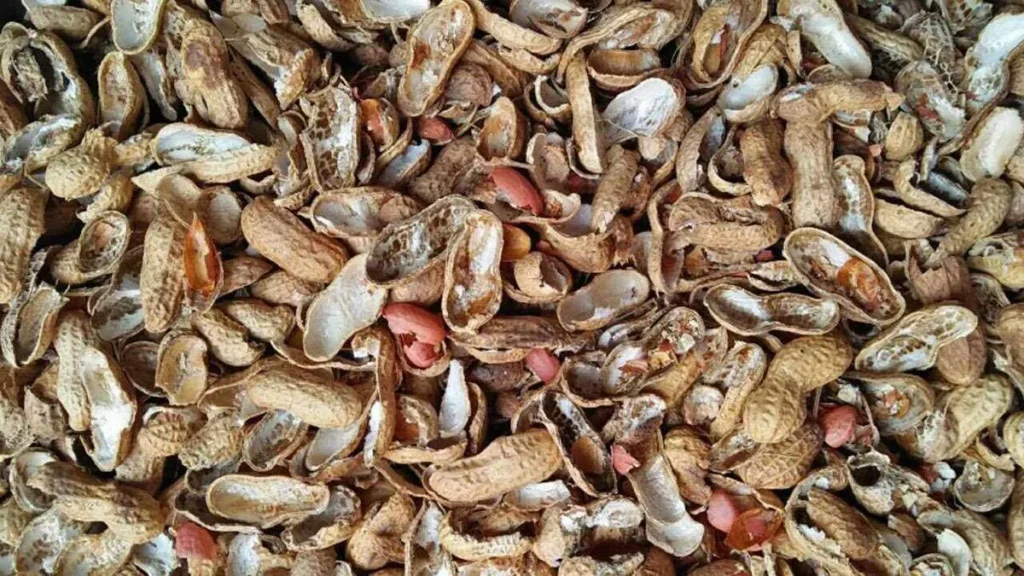 Peanut Shell Biomass Pellet Machines