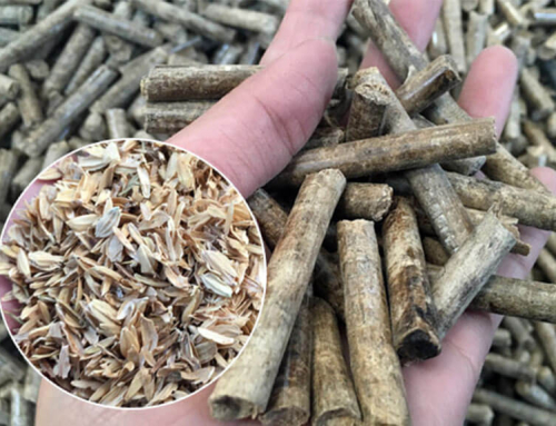 Step-by-Step Peanut Shell Pelletization Process