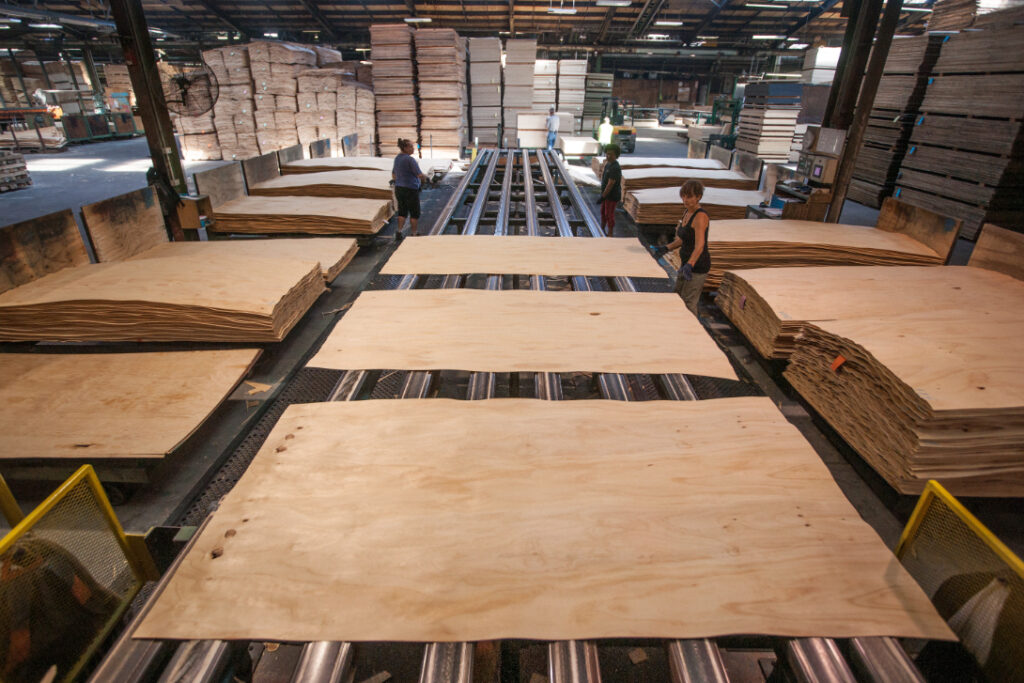Wood Flour for Plywood Industry