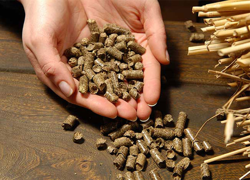 Biomass Pellet Factory Raw Material Supply