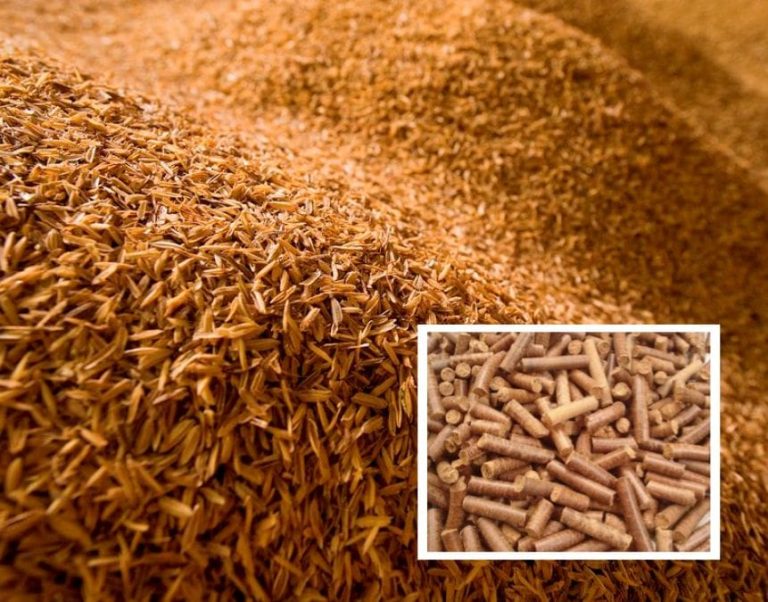 How to Shape Renewable Biomass Energy