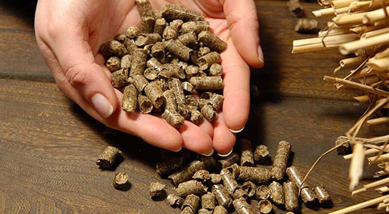 Biomass Pellet Factory Raw Material Supply