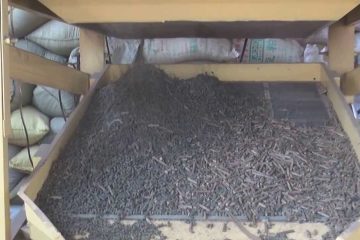 Biomass Pellet Plant (Jiangsu, China)