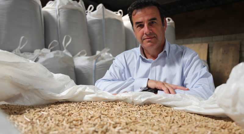 Costs (Per Ton of Biomass Pellets)