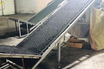 Indonesian Coconut Processing Plan
