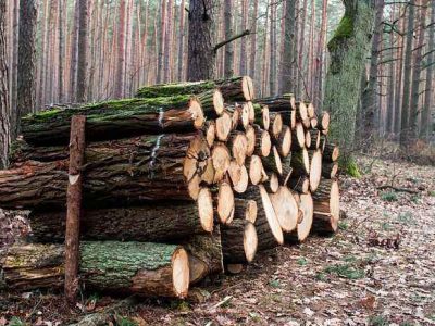 Industrial Wood Chipper