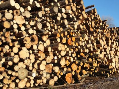 Industrial Wood Chipper