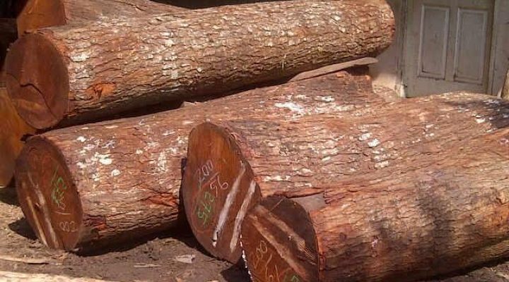 Know Your Raw Materials Inside Out
