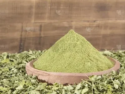 Moringa leaves and powder