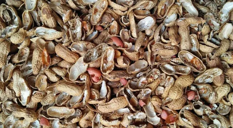 Peanut Shell Biomass Pellet Machines