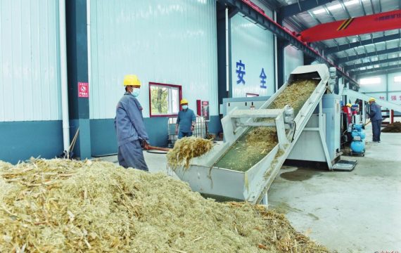 Straw Pellets Production Line