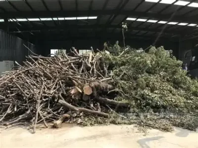 Tree Root Crusher (3)