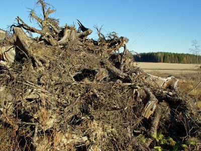 Tree Root Crusher 5