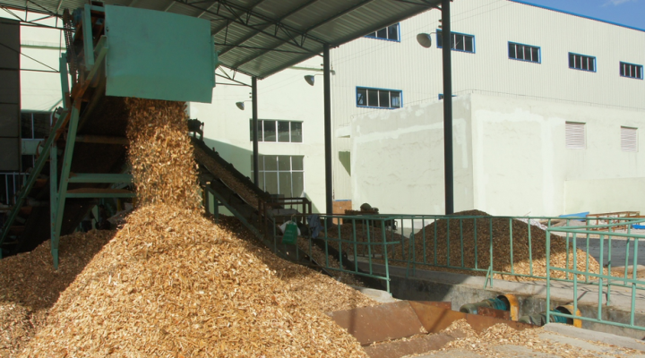 Wood Raw Material Characteristics and Pretreatment