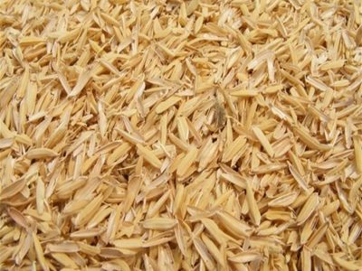 rice husk briquette