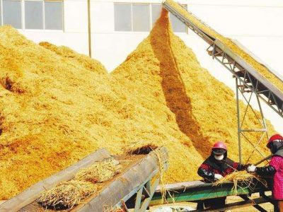 straw briquette